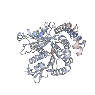 40220_8glv_Er_v1-2
96-nm repeat unit of doublet microtubules from Chlamydomonas reinhardtii flagella