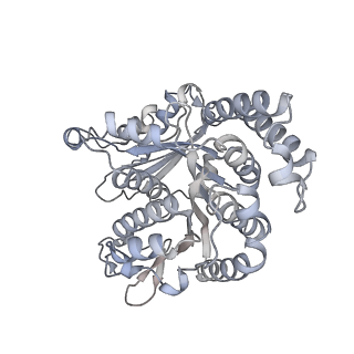 40220_8glv_Es_v1-2
96-nm repeat unit of doublet microtubules from Chlamydomonas reinhardtii flagella