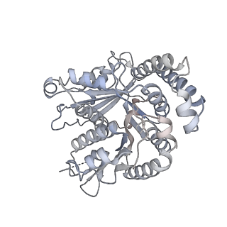 40220_8glv_Et_v1-2
96-nm repeat unit of doublet microtubules from Chlamydomonas reinhardtii flagella