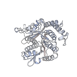 40220_8glv_Eu_v1-2
96-nm repeat unit of doublet microtubules from Chlamydomonas reinhardtii flagella