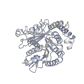40220_8glv_Ev_v1-2
96-nm repeat unit of doublet microtubules from Chlamydomonas reinhardtii flagella