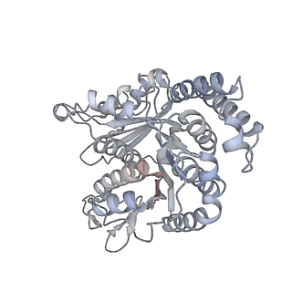 40220_8glv_Ew_v1-2
96-nm repeat unit of doublet microtubules from Chlamydomonas reinhardtii flagella