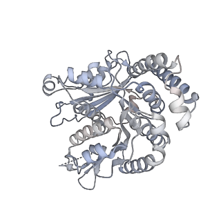 40220_8glv_Ex_v1-2
96-nm repeat unit of doublet microtubules from Chlamydomonas reinhardtii flagella