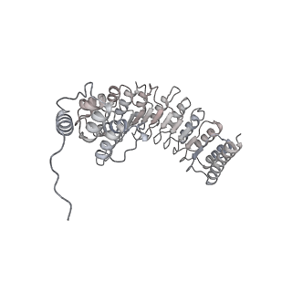 40220_8glv_Ez_v1-2
96-nm repeat unit of doublet microtubules from Chlamydomonas reinhardtii flagella