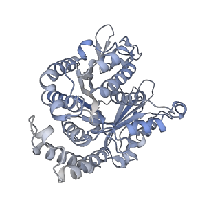 40220_8glv_F0_v1-2
96-nm repeat unit of doublet microtubules from Chlamydomonas reinhardtii flagella