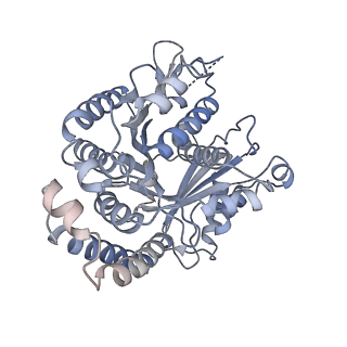 40220_8glv_F1_v1-2
96-nm repeat unit of doublet microtubules from Chlamydomonas reinhardtii flagella