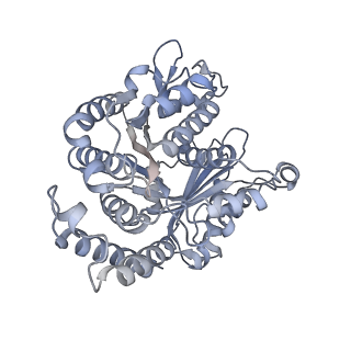 40220_8glv_F2_v1-2
96-nm repeat unit of doublet microtubules from Chlamydomonas reinhardtii flagella
