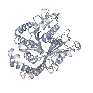 40220_8glv_F3_v1-2
96-nm repeat unit of doublet microtubules from Chlamydomonas reinhardtii flagella