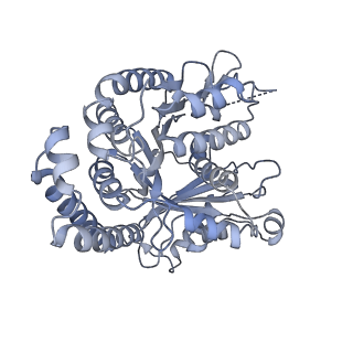40220_8glv_F5_v1-2
96-nm repeat unit of doublet microtubules from Chlamydomonas reinhardtii flagella