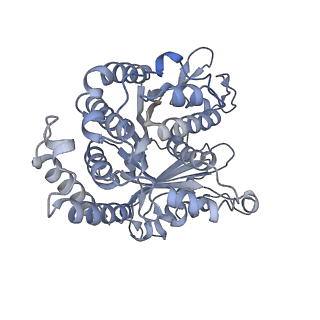 40220_8glv_F6_v1-2
96-nm repeat unit of doublet microtubules from Chlamydomonas reinhardtii flagella