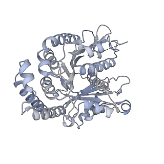 40220_8glv_F7_v1-2
96-nm repeat unit of doublet microtubules from Chlamydomonas reinhardtii flagella
