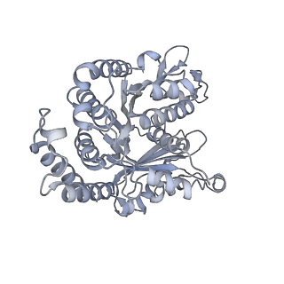 40220_8glv_F8_v1-2
96-nm repeat unit of doublet microtubules from Chlamydomonas reinhardtii flagella