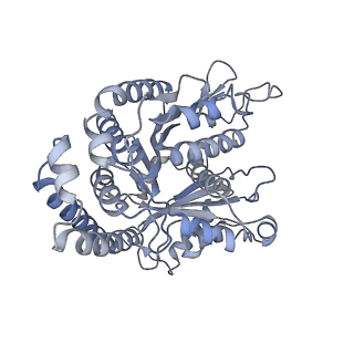 40220_8glv_F9_v1-2
96-nm repeat unit of doublet microtubules from Chlamydomonas reinhardtii flagella