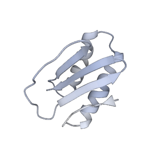 40220_8glv_FA_v1-2
96-nm repeat unit of doublet microtubules from Chlamydomonas reinhardtii flagella
