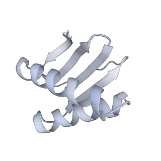 40220_8glv_FB_v1-2
96-nm repeat unit of doublet microtubules from Chlamydomonas reinhardtii flagella