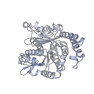 40220_8glv_FC_v1-2
96-nm repeat unit of doublet microtubules from Chlamydomonas reinhardtii flagella