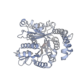 40220_8glv_FD_v1-2
96-nm repeat unit of doublet microtubules from Chlamydomonas reinhardtii flagella
