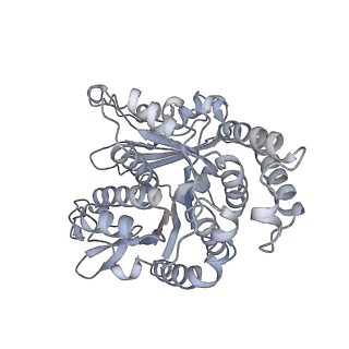 40220_8glv_FE_v1-2
96-nm repeat unit of doublet microtubules from Chlamydomonas reinhardtii flagella