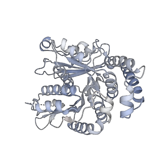40220_8glv_FF_v1-2
96-nm repeat unit of doublet microtubules from Chlamydomonas reinhardtii flagella