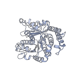 40220_8glv_FG_v1-2
96-nm repeat unit of doublet microtubules from Chlamydomonas reinhardtii flagella