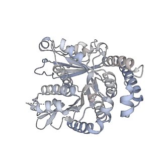 40220_8glv_FH_v1-2
96-nm repeat unit of doublet microtubules from Chlamydomonas reinhardtii flagella