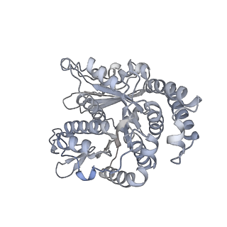 40220_8glv_FI_v1-2
96-nm repeat unit of doublet microtubules from Chlamydomonas reinhardtii flagella
