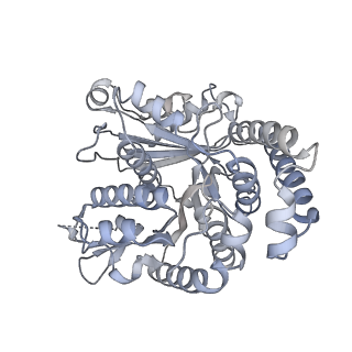 40220_8glv_FJ_v1-2
96-nm repeat unit of doublet microtubules from Chlamydomonas reinhardtii flagella