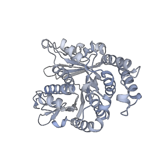 40220_8glv_FK_v1-2
96-nm repeat unit of doublet microtubules from Chlamydomonas reinhardtii flagella