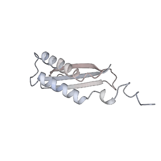 40220_8glv_FM_v1-2
96-nm repeat unit of doublet microtubules from Chlamydomonas reinhardtii flagella
