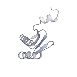 40220_8glv_FN_v1-2
96-nm repeat unit of doublet microtubules from Chlamydomonas reinhardtii flagella