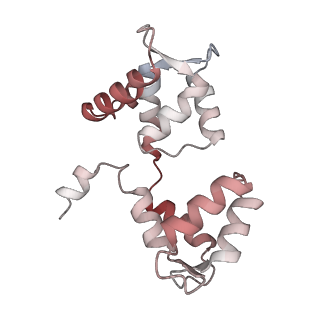40220_8glv_FO_v1-2
96-nm repeat unit of doublet microtubules from Chlamydomonas reinhardtii flagella