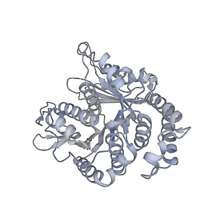 40220_8glv_FP_v1-2
96-nm repeat unit of doublet microtubules from Chlamydomonas reinhardtii flagella