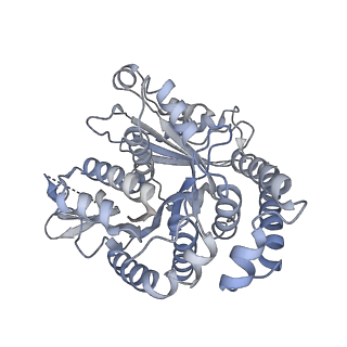 40220_8glv_FQ_v1-2
96-nm repeat unit of doublet microtubules from Chlamydomonas reinhardtii flagella
