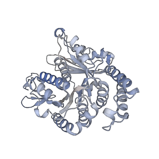 40220_8glv_FR_v1-2
96-nm repeat unit of doublet microtubules from Chlamydomonas reinhardtii flagella