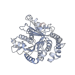 40220_8glv_FS_v1-2
96-nm repeat unit of doublet microtubules from Chlamydomonas reinhardtii flagella