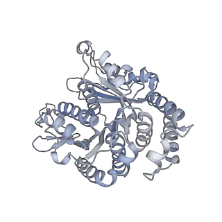 40220_8glv_FT_v1-2
96-nm repeat unit of doublet microtubules from Chlamydomonas reinhardtii flagella