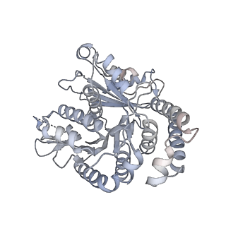 40220_8glv_FU_v1-2
96-nm repeat unit of doublet microtubules from Chlamydomonas reinhardtii flagella