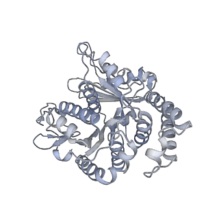 40220_8glv_FV_v1-2
96-nm repeat unit of doublet microtubules from Chlamydomonas reinhardtii flagella