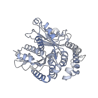 40220_8glv_FW_v1-2
96-nm repeat unit of doublet microtubules from Chlamydomonas reinhardtii flagella