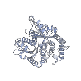 40220_8glv_FX_v1-2
96-nm repeat unit of doublet microtubules from Chlamydomonas reinhardtii flagella