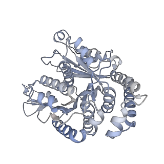 40220_8glv_FY_v1-2
96-nm repeat unit of doublet microtubules from Chlamydomonas reinhardtii flagella