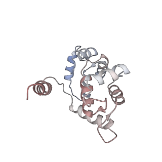 40220_8glv_FZ_v1-2
96-nm repeat unit of doublet microtubules from Chlamydomonas reinhardtii flagella