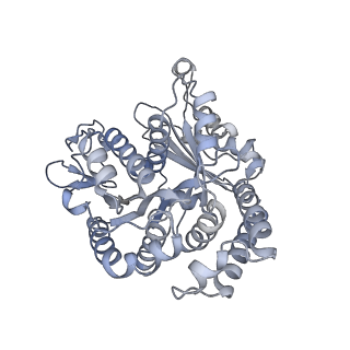 40220_8glv_Fc_v1-2
96-nm repeat unit of doublet microtubules from Chlamydomonas reinhardtii flagella