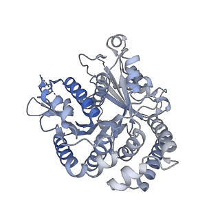 40220_8glv_Fd_v1-2
96-nm repeat unit of doublet microtubules from Chlamydomonas reinhardtii flagella