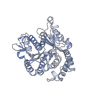 40220_8glv_Fe_v1-2
96-nm repeat unit of doublet microtubules from Chlamydomonas reinhardtii flagella