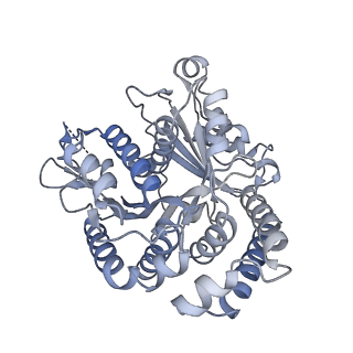 40220_8glv_Ff_v1-2
96-nm repeat unit of doublet microtubules from Chlamydomonas reinhardtii flagella