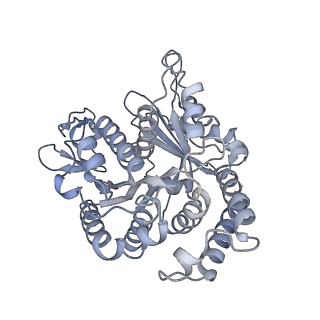 40220_8glv_Fg_v1-2
96-nm repeat unit of doublet microtubules from Chlamydomonas reinhardtii flagella
