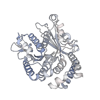 40220_8glv_Fh_v1-2
96-nm repeat unit of doublet microtubules from Chlamydomonas reinhardtii flagella