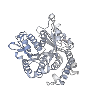 40220_8glv_Fi_v1-2
96-nm repeat unit of doublet microtubules from Chlamydomonas reinhardtii flagella