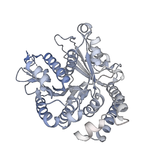 40220_8glv_Fj_v1-2
96-nm repeat unit of doublet microtubules from Chlamydomonas reinhardtii flagella